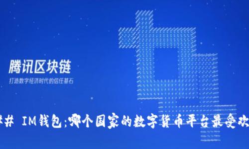 ### IM钱包：哪个国家的数字货币平台最受欢迎？