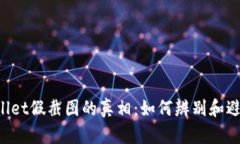 揭开TP Wallet假截图的真相