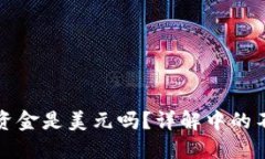 TP钱包中的资金是美元吗？