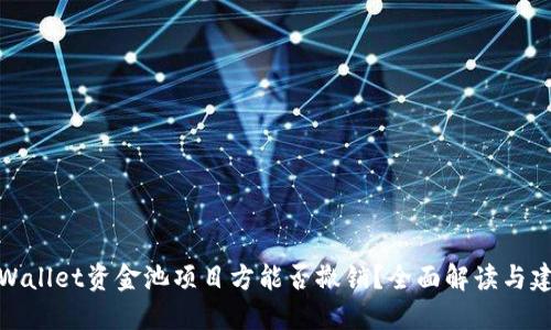 TPWallet资金池项目方能否撤销？全面解读与建议