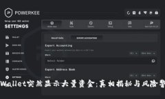 TPWallet突然显示大量资金：