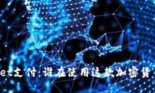 TPWallet支付:谁在使用这款加密货币钱包?