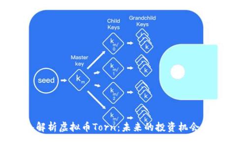 深入解析虚拟币Torn:未来的投资机会与风险