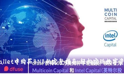 在TPWallet中购买BNB的完整指南：轻松实现数字资产投资