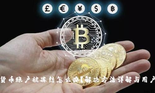 数字货币账户被冻结怎么办?解决方法详解与用户指南