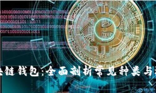 探秘区块链钱包:全面剖析常见种类与选择指南