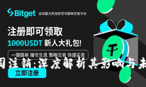 TokenPocket公司注销：深度解析其影响与未来投资者的选择