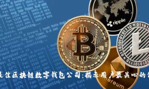 如何选择最佳区块链数字钱包公司:揭示用户最关心的价值与收益