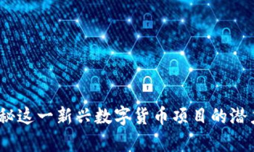 派币：探秘这一新兴数字货币项目的潜力与前景