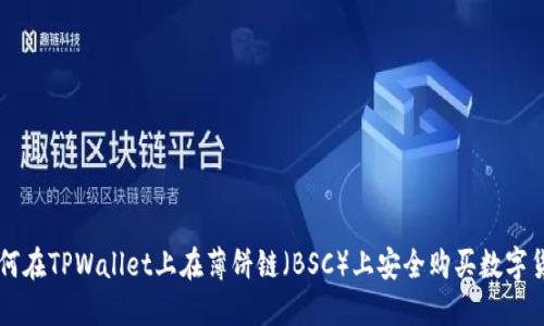 如何在TPWallet上在薄饼链（BSC）上安全购买数字货币