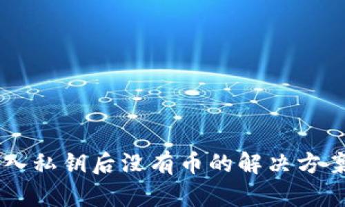 TPWallet导入私钥后没有币的解决方案与用户指南