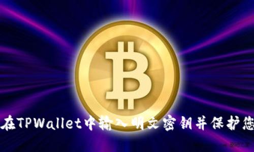 如何安全地在TPWallet中输入明文密钥并保护您的数字资产