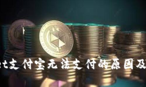 TP Wallet支付宝无法支付的原因及解决方案