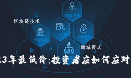 狗狗币2023年最低价：投资者应如何应对与未来展望