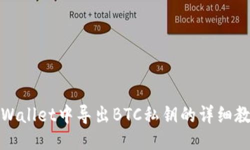 TPWallet中导出BTC私钥的详细教程