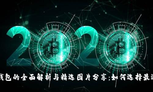 区块链电子钱包的全面解析与精选图片分享：如何选择最适合你的钱包