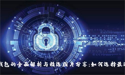 区块链电子钱包的全面解析与精选图片分享：如何选择最适合你的钱包