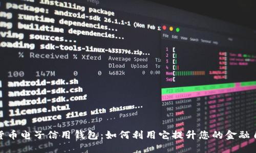 数字货币电子信用钱包:如何利用它提升您的金融自由度