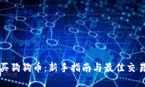 如何购买狗狗币：新手指南与最佳交易所推荐
