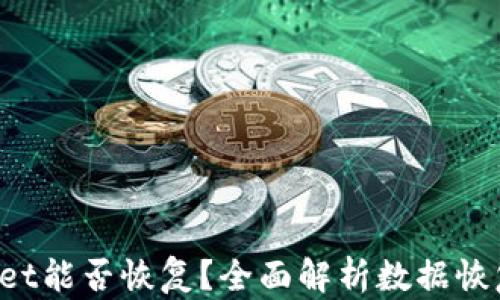 
安卓TP Wallet能否恢复？全面解析数据恢复方法与技巧