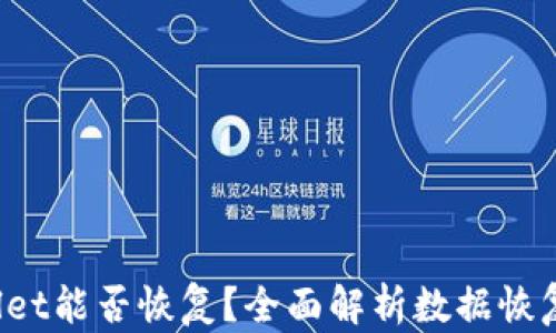 
安卓TP Wallet能否恢复？全面解析数据恢复方法与技巧