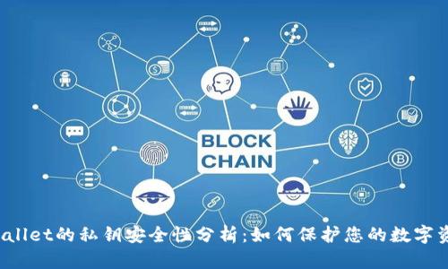 TPWallet的私钥安全性分析：如何保护您的数字资产?