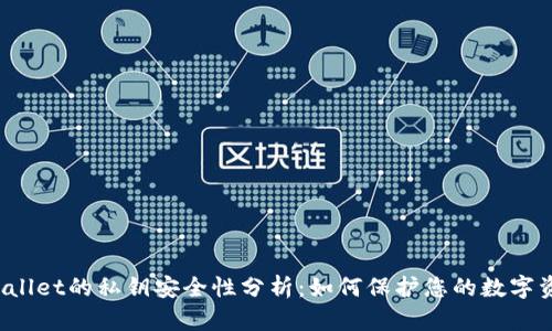 TPWallet的私钥安全性分析：如何保护您的数字资产?