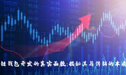 区块链钱包开发的真实面貌:揭秘其与传销的本质区别