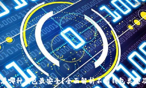 USDT存放在哪种钱包最安全?全面解析不同钱包类型及其优缺点