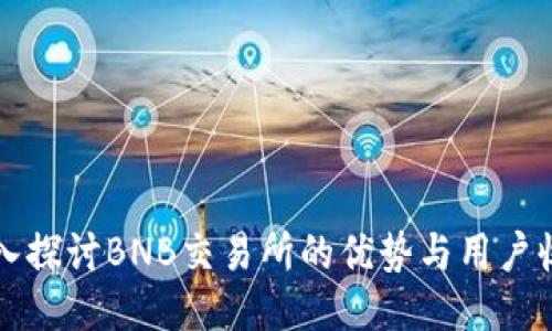 深入探讨BNB交易所的优势与用户收益