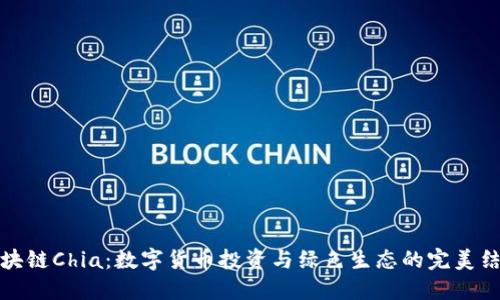 区块链Chia:数字货币投资与绿色生态的完美结合