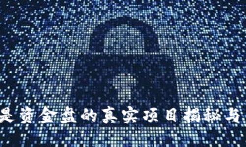 TPWallet:不是资金盘的真实项目揭秘与用户收益分析