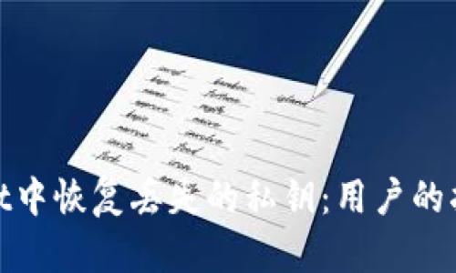 如何在Tpwallet中恢复丢失的私钥:用户的指南与应对策略