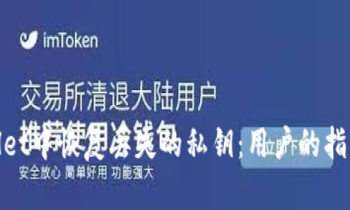 如何在Tpwallet中恢复丢失的私钥:用户的指南与应对策略