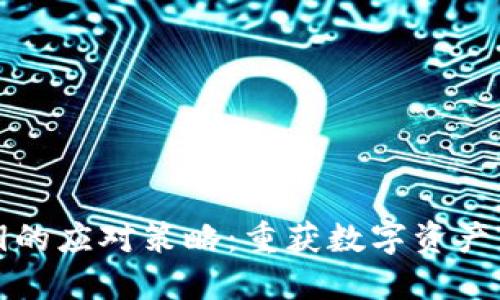 丢失比特币密钥的应对策略：重获数字资产的可能性与技巧