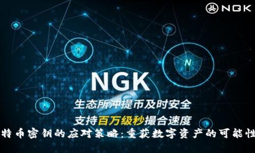 丢失比特币密钥的应对策略：重获数字资产的可能性与技巧