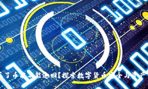 TPWallet丢了币能不能追回?探索数字货币安全与资产保护的策略