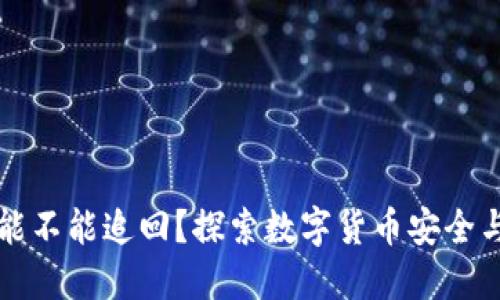 TPWallet丢了币能不能追回?探索数字货币安全与资产保护的策略