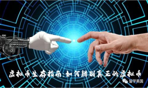 虚拟币生存指南:如何辨别真正的虚拟币