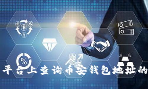 在TP交易平台上查询币安钱包地址的实用指南