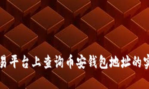 在TP交易平台上查询币安钱包地址的实用指南