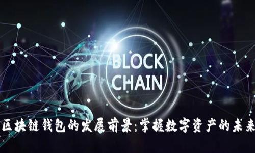 区块链钱包的发展前景:掌握数字资产的未来