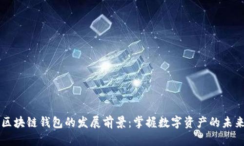 区块链钱包的发展前景:掌握数字资产的未来