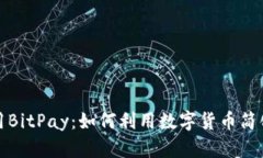 在中国使用BitPay：如何利