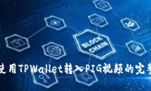 如何使用TPWallet转入PIG视频的完整指南