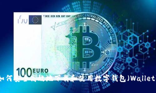 如何安全高效地下载和使用数字钱包(Wallet)