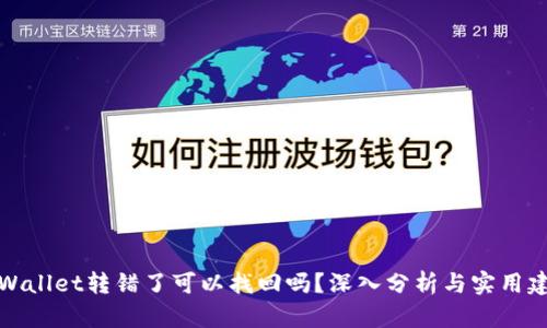 TPWallet转错了可以找回吗?深入分析与实用建议