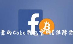 如何选择安全可靠的Cobo钱