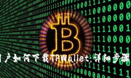 苹果手机用户如何下载TPWallet:详细步骤与注意事项