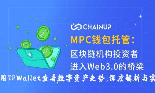 如何使用TPWallet查看数字资产走势:深度解析与实用技巧
